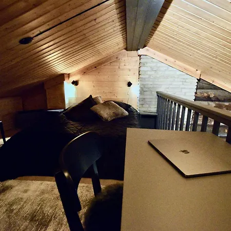 Lempirakka, 2 Levi Skipasses Included, Skibus And Airport Bus Doorstep *