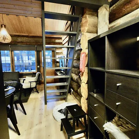 Lempirakka, 2 Levi Skipasses Included, Skibus And Airport Bus Doorstep Lejlighed Kittilä