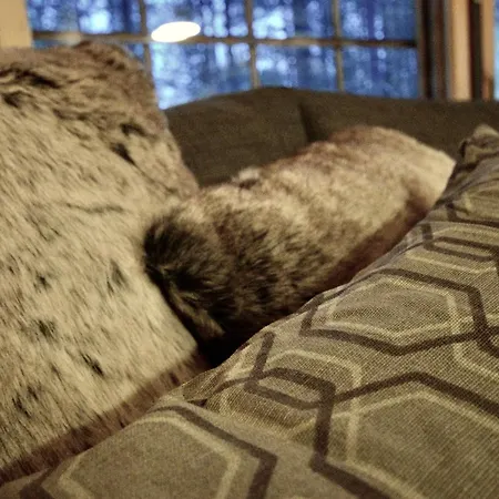 Lempirakka, 2 Levi Skipasses Included, Skibus And Airport Bus Doorstep Appartement