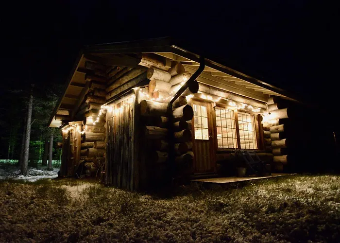 Lempirakka, 2 Levi Skipasses Included, Skibus And Airport Bus Doorstep Apartament *