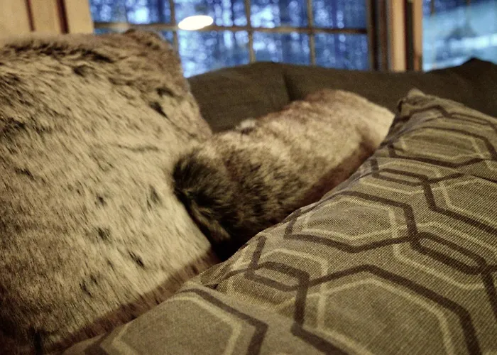 Lempirakka, 2 Levi Skipasses Included, Skibus And Airport Bus Doorstep Apartament