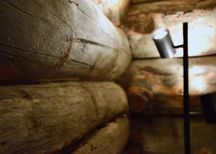 Lempirakka, 2 Levi Skipasses Included, Skibus And Airport Bus Doorstep Apartament